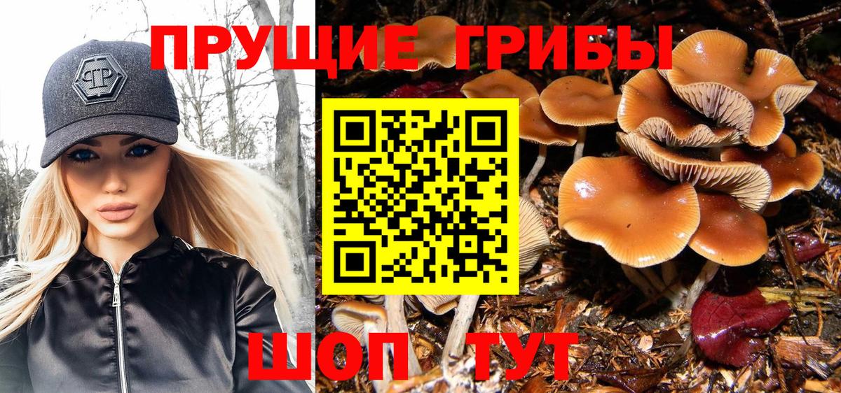 Псилоцибиновые грибы мухоморы  Вход с VPN  Костомукша  Псилоцибиновые грибы ЛСД 